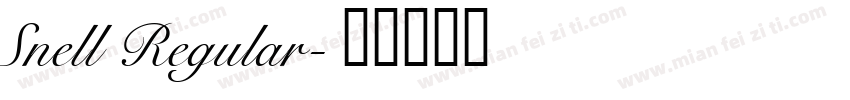 Snell Regular字体转换